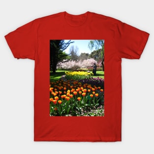 Tulip Time in Canberra Australia 9 P T-Shirt